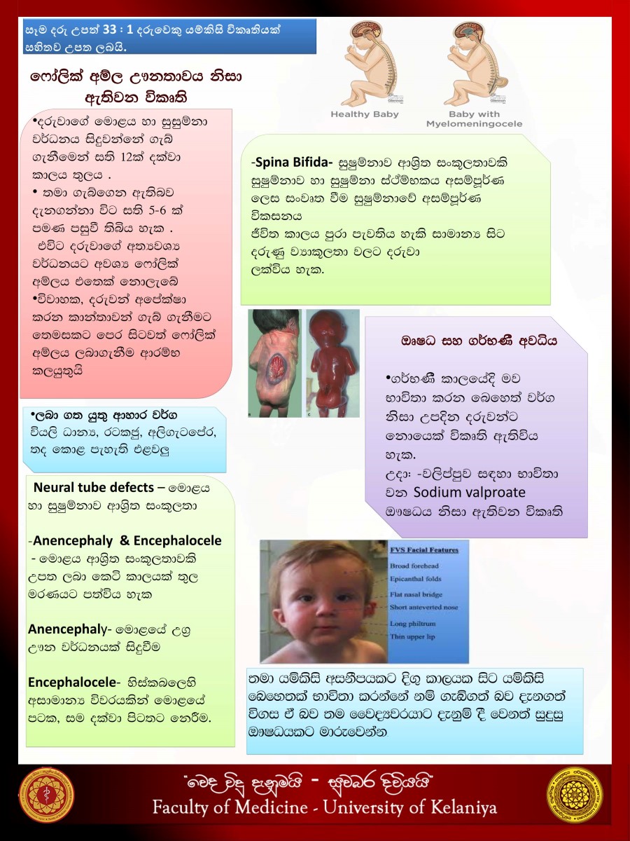 Causes for congenital defects 001