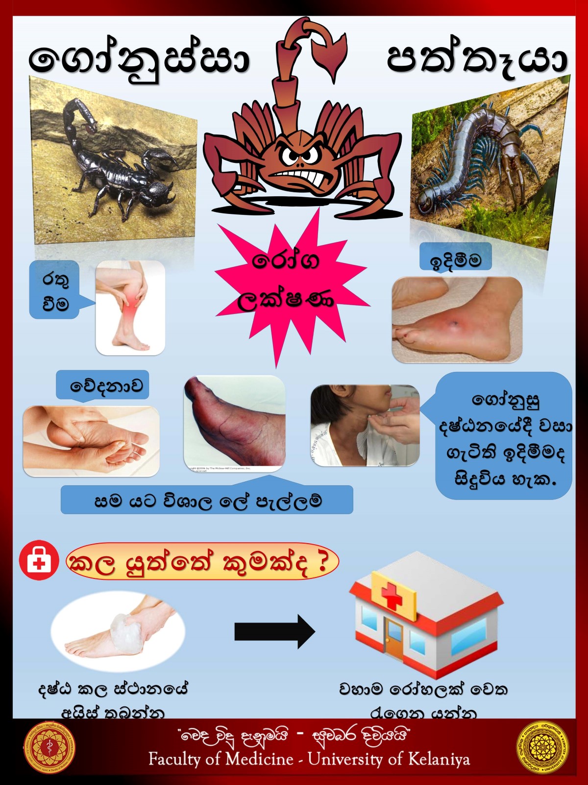http://medicine.kln.ac.lk/vedavidudanuma/images/gallery/Trauma_Zone/Toxicology/scorpion-centeped_001.jpg