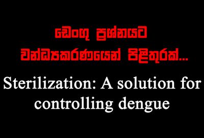 Sterilization: A Solution for controlling Dengue