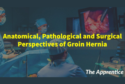 Anatomical, Pathological and Surgical Perspectives of Groin Hernia