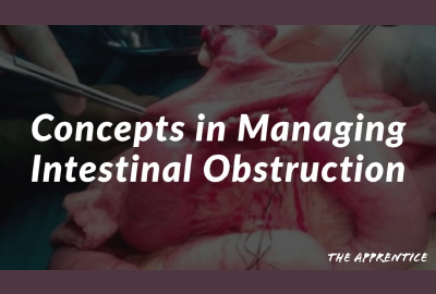 Concepts in Managing Intestinal Obstruction