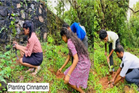 Promoting Green Practices: Sustainability Development Volunteer Projects  2024 at the Faculty of Medicine, Universitty of Kelaniya